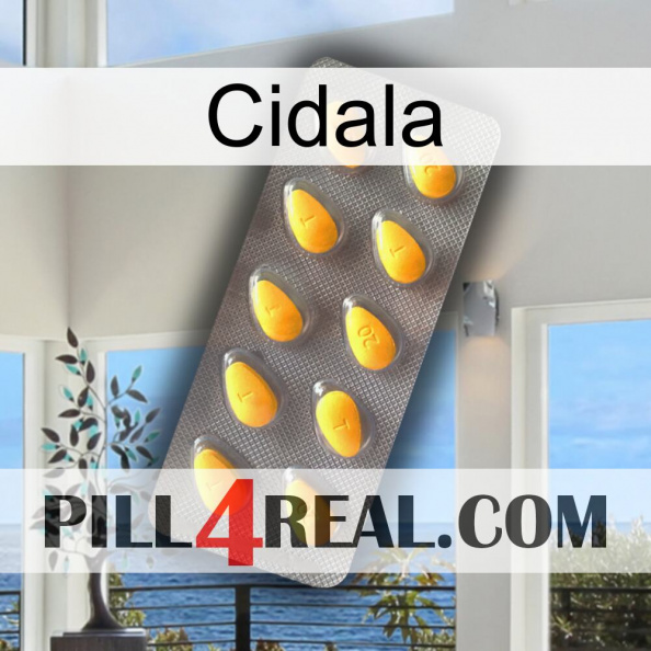 Cidala cialis1